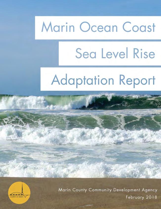 Collaboration: Sea-level Marin