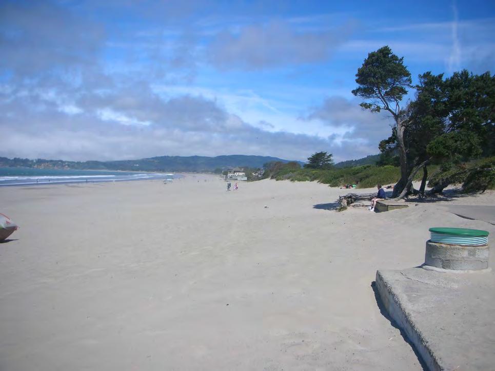 Stinson Beach Strategies Raise Homes (89 structures in V Zone ) = $29 M o