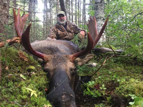 Newfoundland, Canada This is a 5-day Bull Moose hunt for 1 hunter in Newfoundland, Canada.