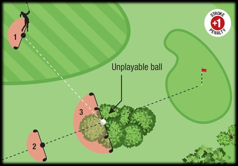 87 Unplayable Ball Relief Options (Rule 19.2) The player may take stroke-and-distance relief.