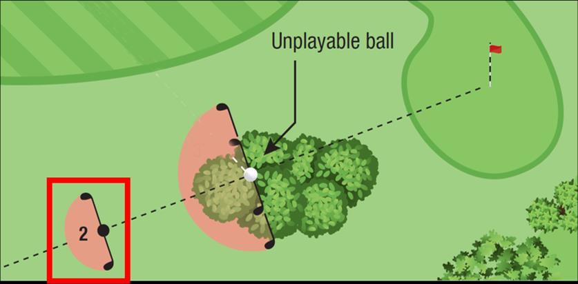 89 Unplayable Ball Relief Options (Rule 19.