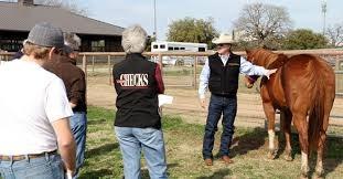 Info: visit website Description/Objectives: To increase knowledge of equine evaluation and selection techniques To