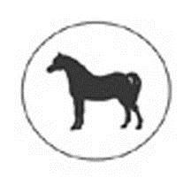 THE WELSH PART-BRED HORSE GROUP (In association with the Welsh Pony & Cob Society). Is addressing the task of promoting the breeding and registration of the Welsh Part-Bred Horse- (minimum 12.