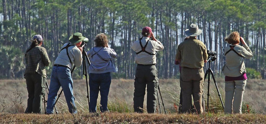 Outdoor Activities After you visit some of the festivals and community events, take advantage of the gulf coast winter weather to participate in some fantastic outdoor activities in Wakulla County.