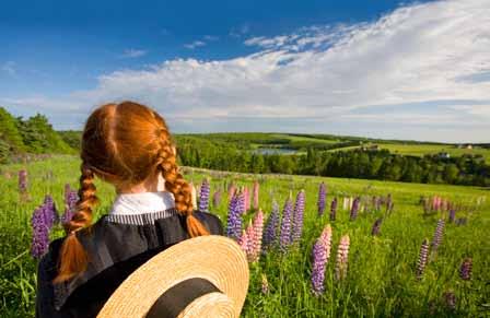 JOHN SYLVESTER ABOVE ~ The novel Anne of Green Gables was first published in 1908 by Lucy Maud Montgomery.