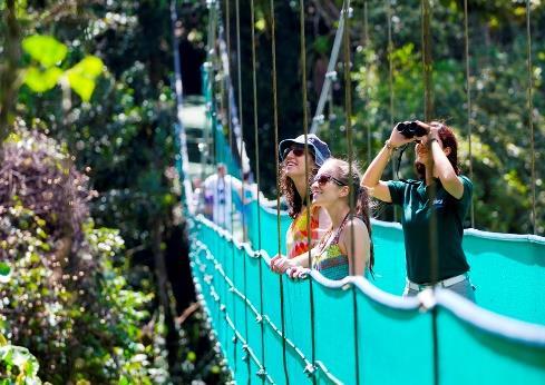 Fly above the canopy In this activity, you will find one of the major attractions the Tarzan Swing, which guarantees you will