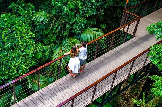 DAY 6 Tread in the Arenal Volcano National Park & enjoy the relaxing hot springs The Arenal Hanging Bridges expedition takes