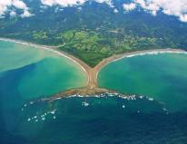 DAY 8 Observe the incredible wildlife of the Marino Ballena National Park Admire a variety of luxuriant vegetation and wildlife, especially birds, in the mangroves