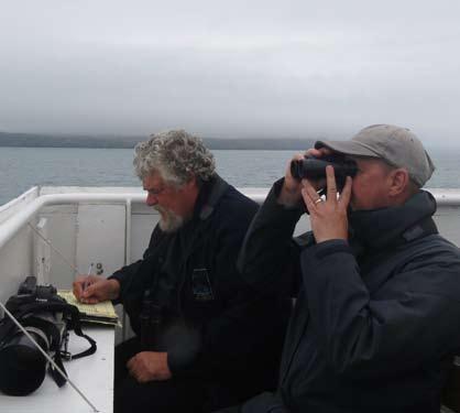 Minke whale, porpoise and pods of common dolphin were sighted throughout the day. In addition, sea birds were surveyed.