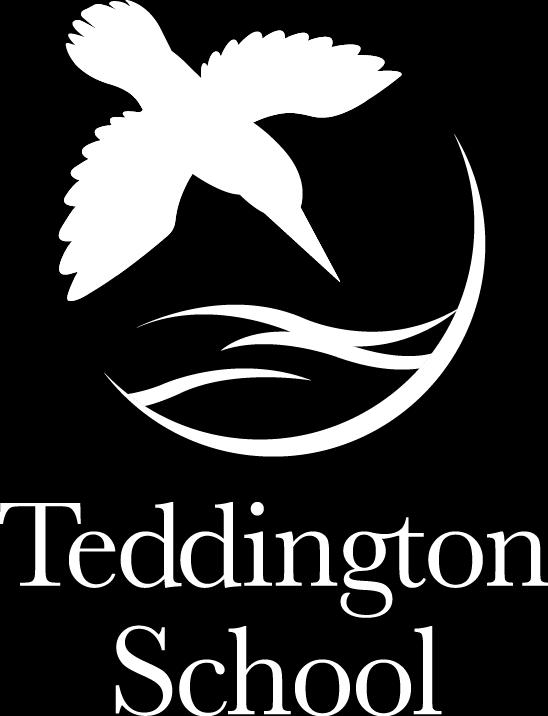 Teddington School Curriculum Enhancement