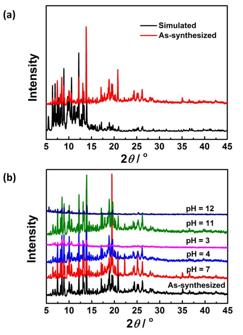 Fig. S2 (a) The simulated (black) and experimental (red) PXRD patterns of ZJU-100; (b) the PXRD