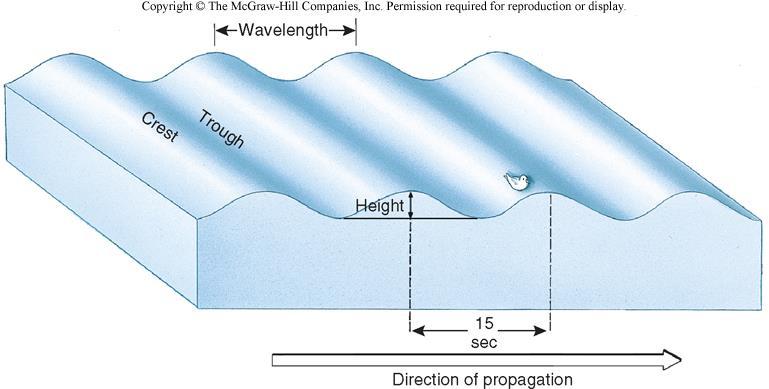 Waves and Tides - Waves consist of a crest and trough - A crest is the highest point of a wave - A trough is the lowest part of a wave - The vertical distance between any crest and the succeeding