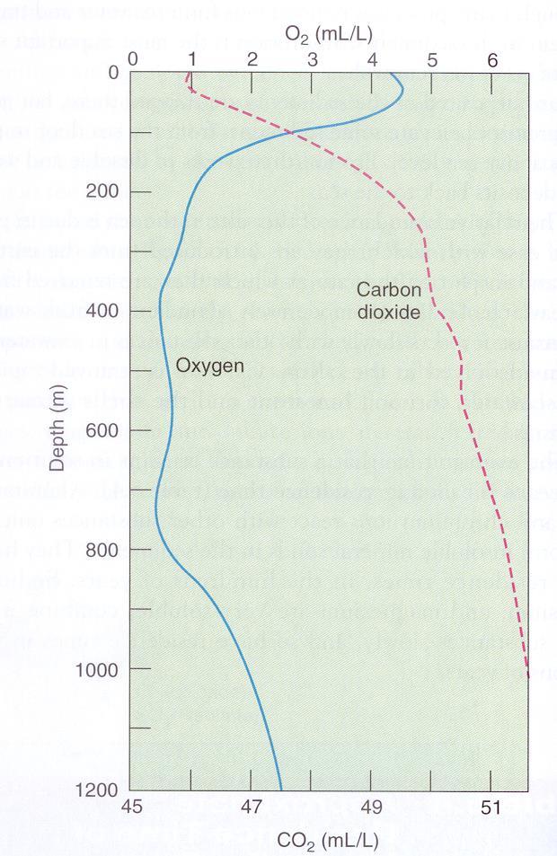 - carbon dioxide is abundant in the ocean (80% of all dissolved gases) - seawater can absorb large quantities of CO2 because it does not remain in the gas form but reacts chemically to form a sink