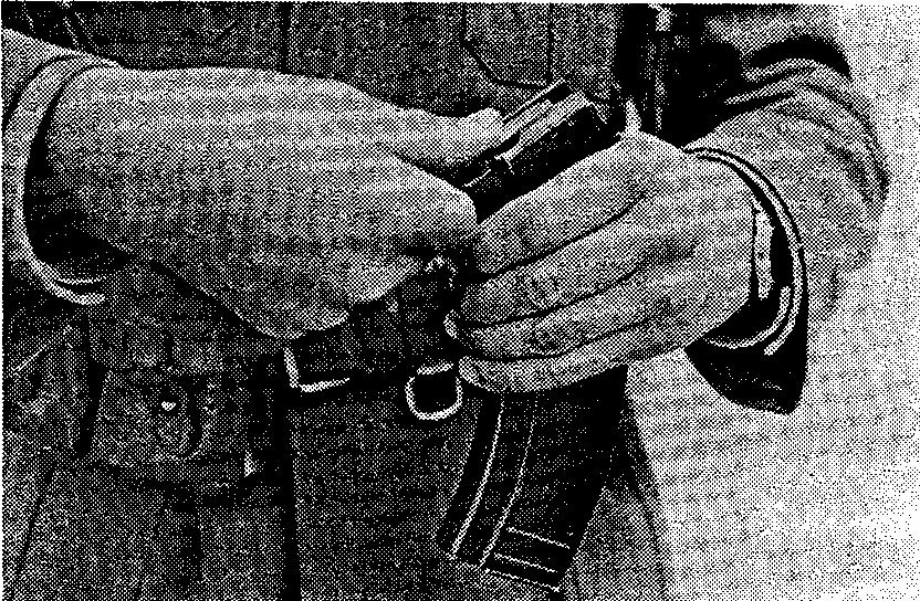 15. To load the magazine for the automatic rifle and machine gun, the magazine is grasped in the left hand (Picture 2) with the mouth up and convex curve to the left.