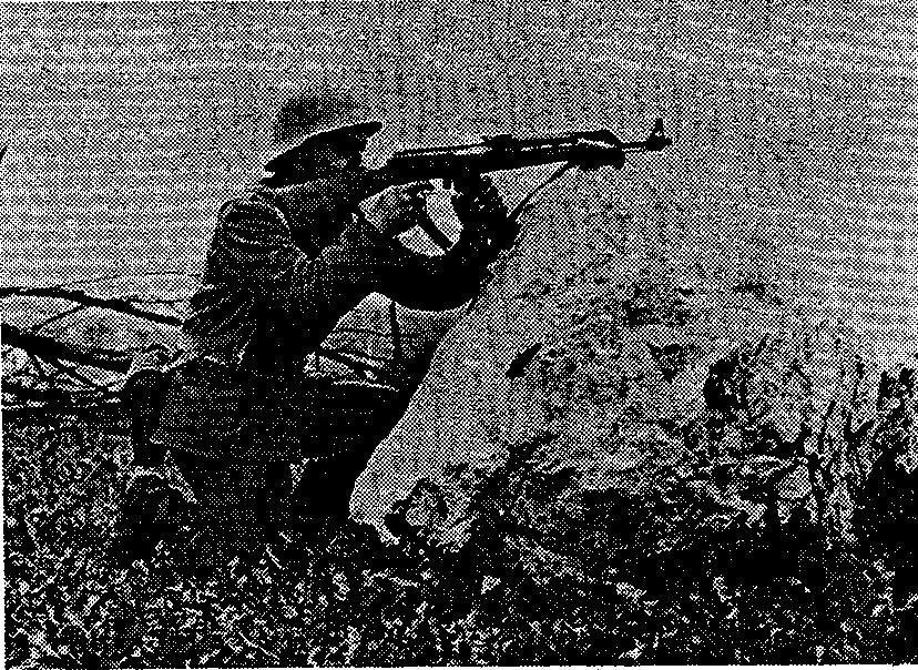 30. When assuming the position with the automatic rifle and machine gun with the folded stock, the rifleman follows the procedure described in Paragraph 23.