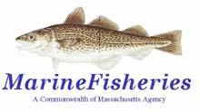 Massachusetts Division of Marine Fisheries Marine Fisheries Resource Recommendations: