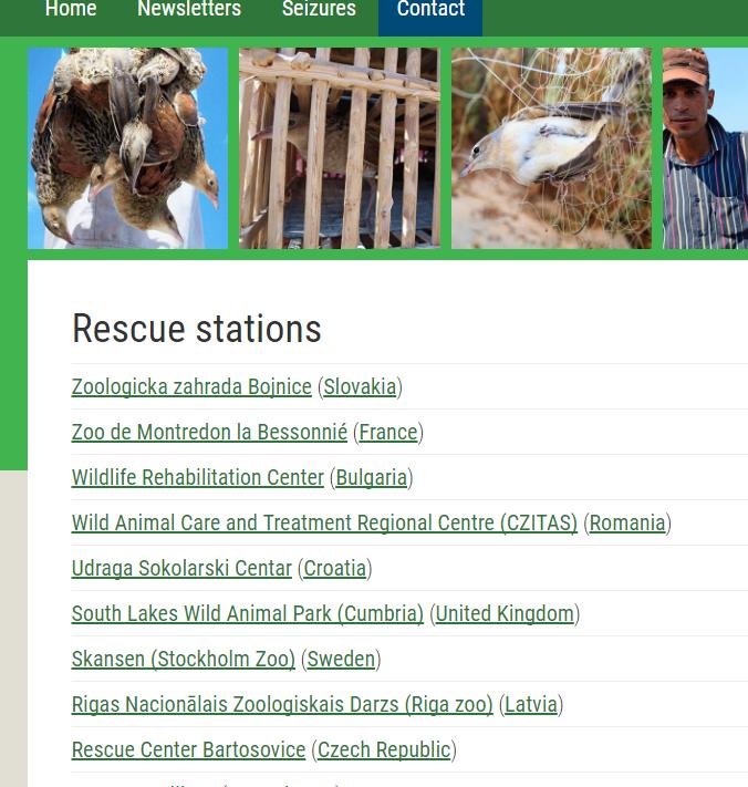 Rescue Stations