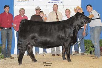 by GWS Ebony s Trademark 6N, exh. by Zachariah Henthorn, Fleming, OH. 0.0/5.2/8/29/44/14/18/-0.1/0.2/109/63 Reserve Champion Simmental Heifer ADKINS/LAZY H BLK Star, s.