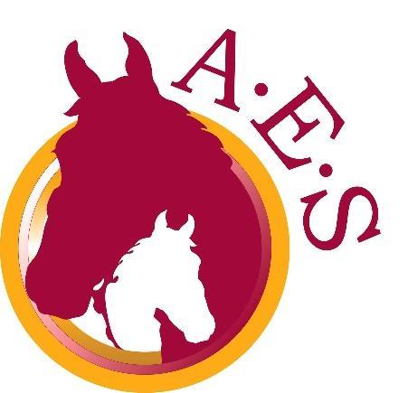 APS Equine Services 70cm 12 & Under $8 1 st $50, 2 nd $40, 3 rd $35, 4 th $25, 5 th $20, 6 th $15 5.
