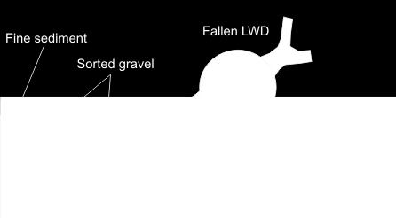 CWD locally slows flow, creating a depositional environment that traps fine sediment (Figure 8).