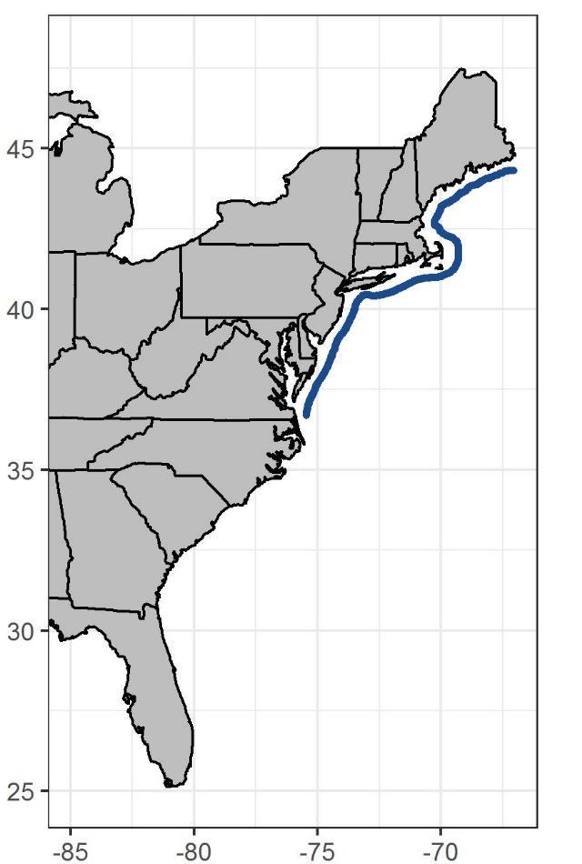 Indices Age 1+ Indices MRIP CPUE (VA ME) CT Long Island Sound Trawl Survey NY Ocean Haul