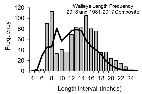 Biologists record the sex, stage of maturity, length and weight of each fish caught in the gill nets.