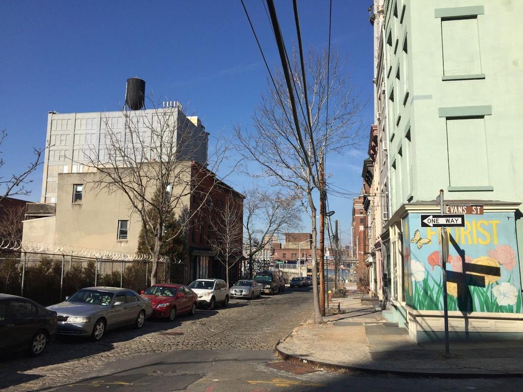 Although most of Vinegar Hill is practically identical the few times I saw art it stood out because it was a beautification to the neighborhood. Especially on Evans St.