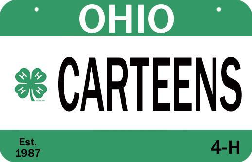 4-H CARTEENS Currently Seeking Teen Volunteers The 4-H CARTEENS mission is to decrease the number of repeat juvenile traffic offenders by educating them on safe driving habits in a fun and positive