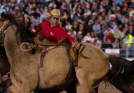 Rodeo Committee The Los Fresnos Rodeo Committee is made of twenty-eight hard working individuals who with the help of their families and numerous volunteers tirelessly toil to put on a three-day