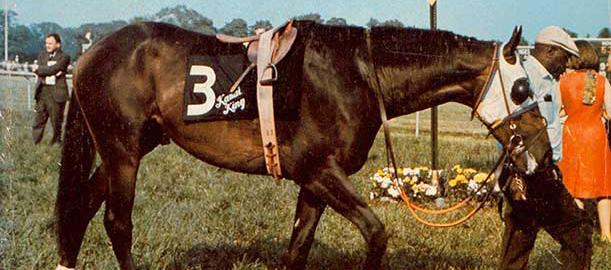 Talent Partners $2,500 INVESTMENT 1 of 4 Available Secretariat American PHAROH Seattle SLEW Justify Company Name on sash worn by talent actor dressed in themed costume 1/4 page ad in winners program