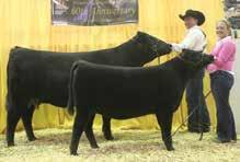 Poss Maverick Sire of Lot 18 S/A Forever Lady 183-3257 Donor Dam of Lot 18 We chose two standout daughters of Hoover No Doubt from the consignment of Strasburg Angus of Wisconsin in the 2018 National