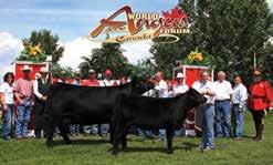 This GQ x Annie K heifer pregnancy promises to be a great show heifer! 25 Experience Fort Smith www.fortsmith.