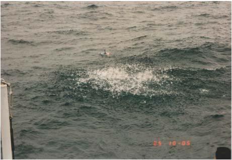 Figure 8. (left) Photograph of a black ring phenomenon taken in the Yellow Sea in August 1996 for a 38-g (0.038 kg) NEW charge detonated at depth 50 m. (Photograph by Peter H.