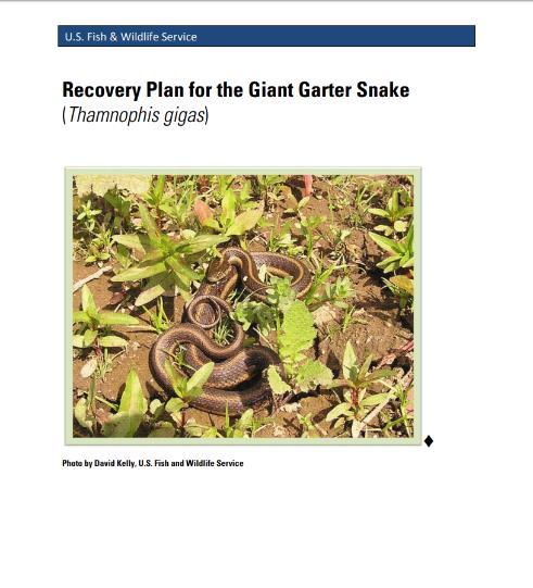 Section 4 - Recovery Develop and implement Recovery Plans for threatened and endangered species Recovery Plans provide guidance on how best to help listed species achieve recovery Site-specific