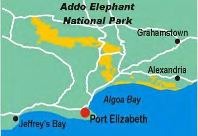 Addo Elephant National Park In