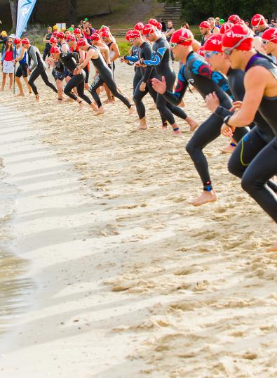 Our Organisation Organisational Overview TNSW is the state sporting organisation responsible for the strategic development of the sport of triathlon within NSW.