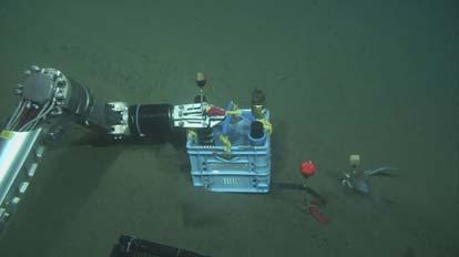 The extension cable on the seafloor was easily found by HPD and put a marker beside the cable end anchor. The location is 34-44.008N, 138-37.
