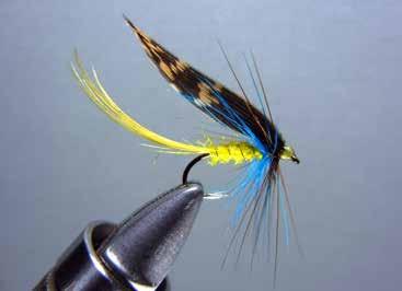 So how does all this apply to our fly selection and the way we fish them for bream and bass?