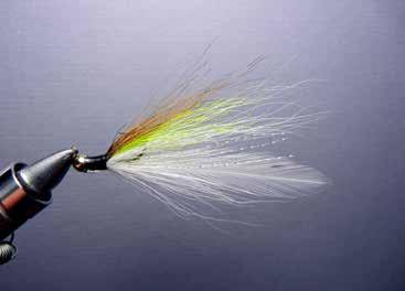 TOM LOGAN Size 10 Deciever A small Deceiver pattern imitates baitfish that all species feed on, especially during winter. large leaves of water lilies and lotus the locals call bonnets.
