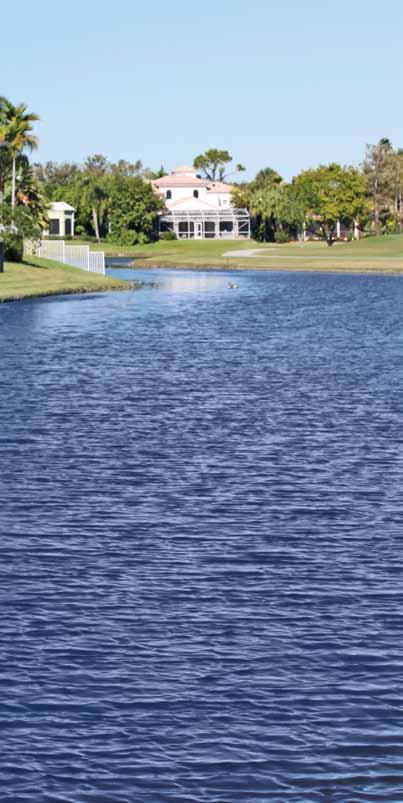MIDGE FLY CONTROL Aquatic midge flies are nonbiting insects found in lakes and ponds throughout Florida and are known by many common names including blind mosquito and fuzzy bill.