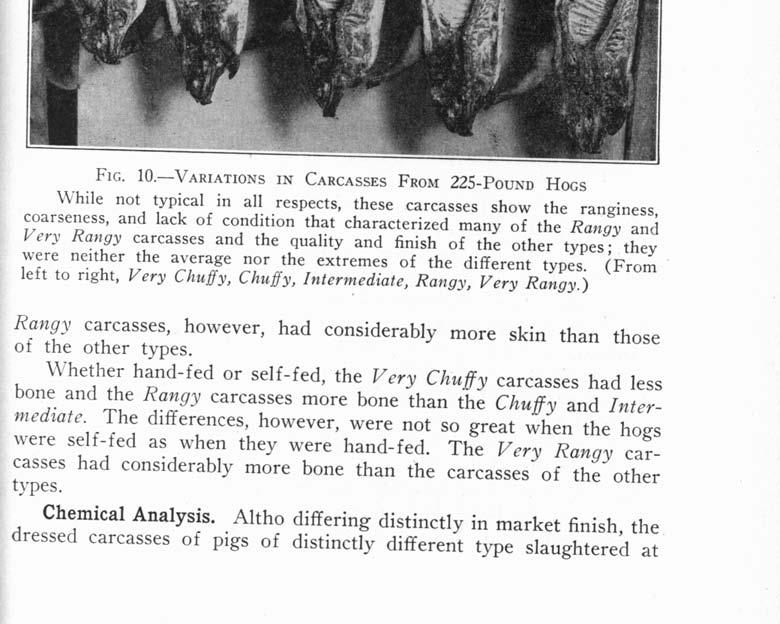 When self-fed, differences in skin content of the Chuffy, Intermediate, and Rangy types were small; the Very FIG. 1O.
