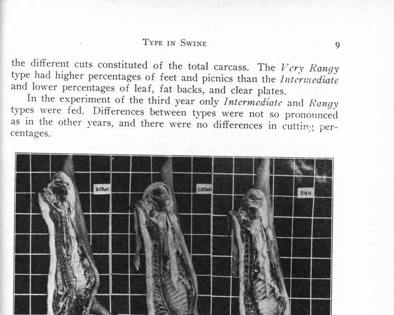 TYPE IN SWINE 9 the different cuts constituted of the total carcass.