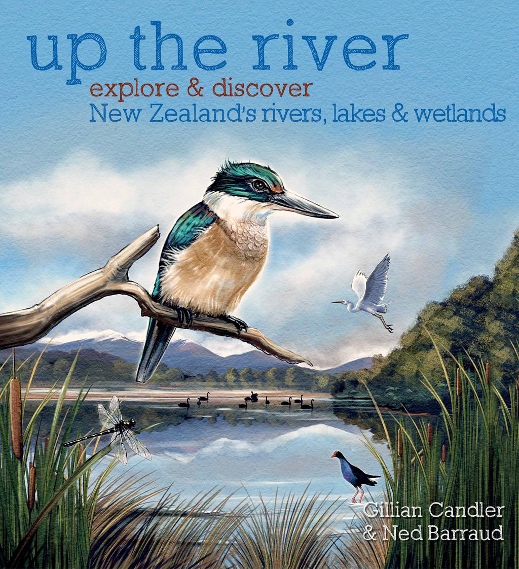 explore the creeks, rivers, lakes and wetlands of New Zealand & discover the animals and plants that live in freshwater