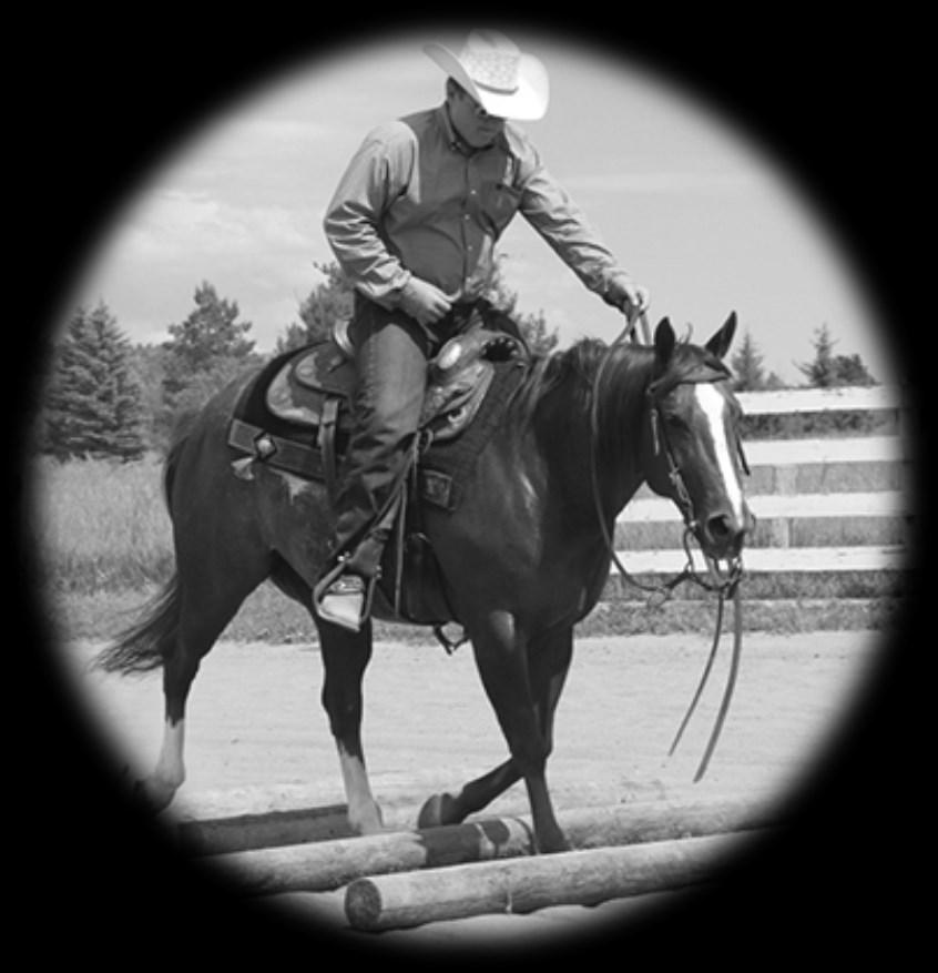 2018 Ranch Riding BEGINNER $200 Added NON PRO-$300 Added OPEN $500 Added JUDGE: Rhonda Miller SCRIBE: Pam Morrison Ranch Riding Rules Returning to the Northern BC Ride and Slide Show Bill for 2018