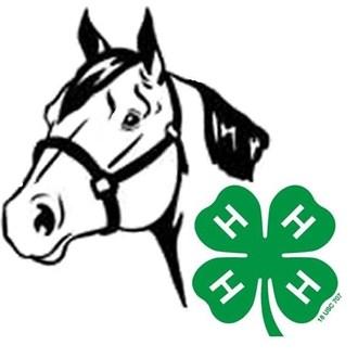 DOGS: Dogs must be owned or leased by June 1, 2019 At this time, no paperwork is required to be on file. Make entries via 4-H online.