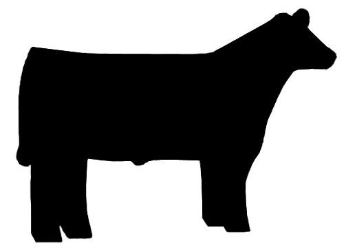 Livestock News Upcoming Important Dates: Beef Ownership Deadline: February 1, 2019 Market Steer and Market Heifer Weigh-In: February 9, 2019, at the Marion County Fairgrounds @ 8 a.m. *Steers and heifers must be halter broke.