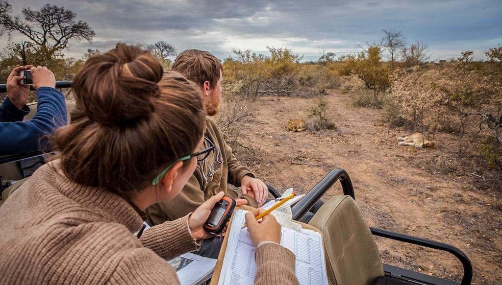 Join our qualified guides and research team on daily game drives in search of the Big 5 and other African wildlife.