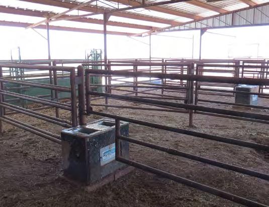 A large covered livestock shed, with both inside outside pipe pens and stalls.