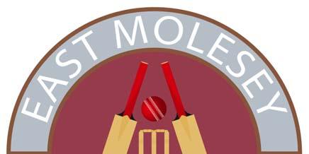 East Molesey CC 5 year vision Schools : 4 Schools Players : 350 Participants Facilities : We will hire two indoor schools and one out door Pitch +