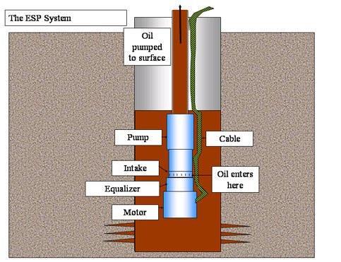 Downhole pump insert the hole pumping mechanism into the well.